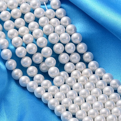 Shell Pearl Beads Strands X-SP8MM701-1