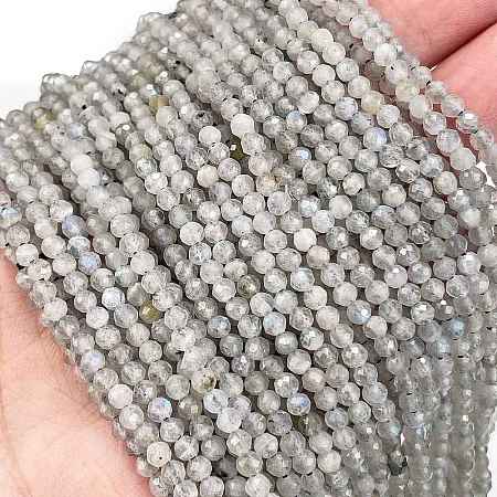Natural Labradorite Beads Strands G-I341-11A-1