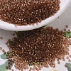 MIYUKI Delica Beads SEED-X0054-DB0121-1