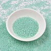 MIYUKI Delica Beads SEED-JP0008-DB1707-2