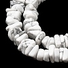 Natural Howlite Beads Strands G-A285-A12-01-4