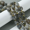 Natural Labradorite Beads Strands G-Q010-A25-01-2