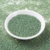 MIYUKI Round Rocailles Beads X-SEED-G007-RR0374-2