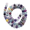 Natural Fluorite Beads Strands G-K245-A10-02-2