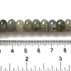 Natural Labradorite Beads Strands G-G102-C06-01-5