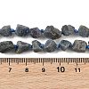Raw Rough Natural Sapphire Beads Strands G-D101-A03-5