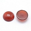 Natural Carnelian Cabochons G-P393-R37-12mm-2