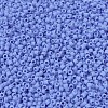 MIYUKI Delica Beads X-SEED-J020-DB0760-3
