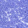 FGB 11/0 Grade A Glass Seed Beads SEED-S030-1010-2
