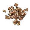 2-Hole Transparent Glass Seed Beads SEED-S023-30B-28-1