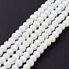 Electroplate Opaque Solid Color Glass Beads Strands EGLA-A034-P4mm-L17-2