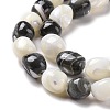 Natural Trochid Shell Beads Strands SSHEL-G023-04C-3