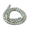 Natural Amazonite Beads Strands G-P575-C12-6mm-3