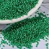 MIYUKI Round Rocailles Beads SEED-JP0010-RR0646-1