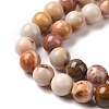 Natural Agate Beads Strands G-C238-03A-4