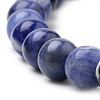 Natural South Africa Sodalite Beads Strands X-G-S259-35-10mm-4