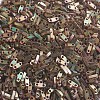 MIYUKI Quarter TILA Beads SEED-MY05-QTL2035-4