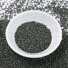 MIYUKI Delica Beads X-SEED-J020-DB0324-2