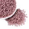 FGB Frosted Transparent Glass Seed Beads SEED-N013-04A-06-1