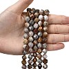 Natural Gobi Agate Beads Strands G-Z119-A36-03-2