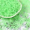 6/0 Luminous Glass Seed Beads X1-SEED-NH0001-01H-2
