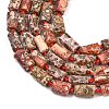 Natural Red Leopard Skin Jasper Beads Strands G-A314-A05-01-4
