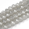 Glass Beads Strands EGLA-A034-J4mm-D10-1