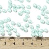 6/0 Glass Seed Beads X1-SEED-L011-08A-14-4