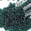 TOHO 8/0 Round Beads SEED-TR08-0108BD-1