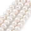 Natural Cultured Freshwater Pearl Beads Strands PEAR-C003-13C-2