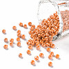 8/0 Glass Seed Beads SEED-XCP0001-10-1