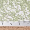 MIYUKI Delica Beads SEED-X0054-DB1765-4