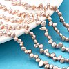 Natural Cultured Freshwater Pearl Beads Strands PEAR-I007-03B-01B-5