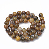Natural Pietersite Beads Strands G-S333-8mm-010-3