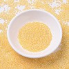 MIYUKI Delica Beads SEED-MY11-DB0233-2