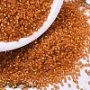 MIYUKI Delica Beads SEED-X0054-DB0681-1