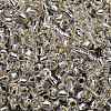 TOHO 3/0 Round Beads SEED-TR03-0021-3