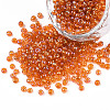 Round Glass Seed Beads SEED-A007-3mm-169-1