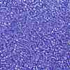 TOHO 15/0 Round Beads X-SEED-TR15-0168-2