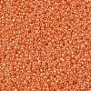 MIYUKI Round Rocailles Beads X-SEED-G007-RR0424-3