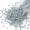 12/0 Glass Seed Beads SEED-US0003-2mm-149-1