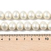 Oval Shell Pearl Beads Strands BSHE-XCP0001-21-4