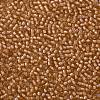 TOHO 11/0 Round Beads X-SEED-TR11-0923-2