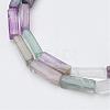 Natural Fluorite Bead Strands G-G968-D13-3