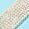 Natural Cultured Freshwater Pearl Beads Strands PEAR-E017-15-2