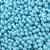 Glass Seed Beads SEED-L011-04A-11-3