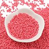 Baking Paint Glass Seed Beads X-SEED-S042-05B-87-2