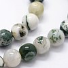Natural Tree Agate Beads Strands G-I199-03-4mm-3
