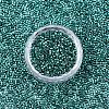 FGB 11/0 Grade A Glass Seed Beads X-SEED-S030-1216-3