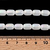 Natural Selenite Beads Strands G-F750-B-21-4
